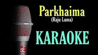 Parkhaima Raju Lama  Karaoke With Lyrics  BasserMusic [upl. by Hadeehuat942]