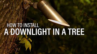 How to Install Landscape Lighting  Mounting a Downlight In a Tree [upl. by Eednam]