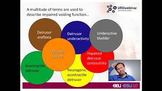 Urowebinar Underactive bladder  The story so far [upl. by Aihsas]