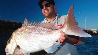 Snapper Fishing With Simrad 3D Structurescan [upl. by Modie]