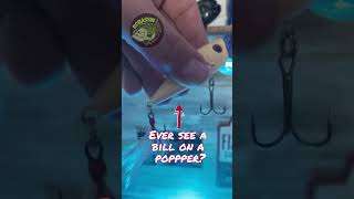 Little Popper Bass Fishing Lure Catch Anything  fishing lure shorts 🎣 shorts bassfishing [upl. by Atinauq]