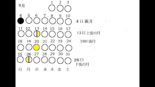 スカイツリーの天気3日翔平メーター [upl. by Amada]