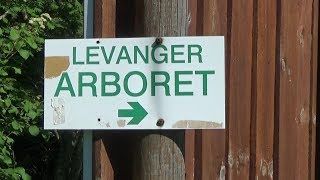 Levanger Arboret  en perle du kanskje ikke vet om [upl. by Yetnom]