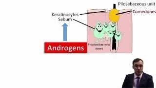 Acne Vulgaris [upl. by Banky]