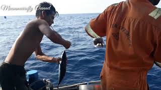 Traditional fishing in Malacca Strait part1 [upl. by Timon]