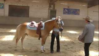 FNQualifikation Reining DM 2012  Emanuel Ernst mit Haflinger Nico [upl. by Nesnej]