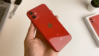 iPhone 11 Nova Recenzija u 2023 Utisci posle 4 godine [upl. by Atiuqel]