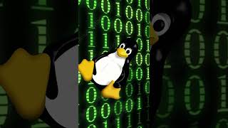 Até Sua Vó Pode Usar Linux linuxoperatingsystem linuxbonito archlinux windows linux mint [upl. by Ilrebma]