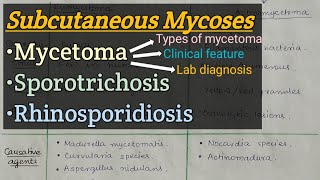 Subcutaneous Mycosis  Mycetoma  Sporotrichosis  Rhinosporiodosis [upl. by Yerbua]