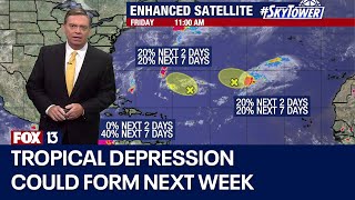 Potential tropical system could become depression in Gulf of Mexico next week [upl. by Enyawad]