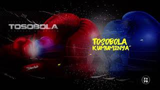 TOSOBOLA  Sheebah Official Lyric Video [upl. by Mutz]