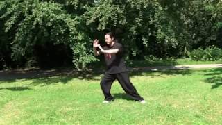 Tai Chi Chuan in Stuttgart und China 太极拳在中国与德国的斯图加特 [upl. by Arimak]