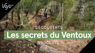 Découverte  Vaucluse  les secrets du Mont Ventoux [upl. by Aicnorev]