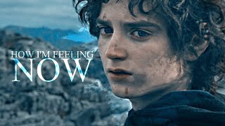 Frodo Baggins  How Im Feeling Now [upl. by Yetah]