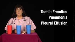 Tactile Fremitus Cups Demonstration [upl. by Esilahc]