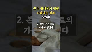 운이 좋아지기 직전 나타나는 징조 5가지 [upl. by Lertsek]