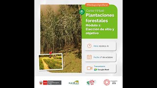 Curso Plantaciones forestales Módulo 1 Elección de sitio y objetivo 01102024 [upl. by Ardnahc]