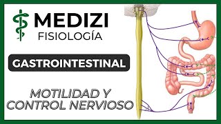 Clase 43 Fisiología Gastrointestinal  Motilidad y Control Nervioso IGdoctorpaiva [upl. by Boyes]