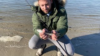 Herring Fishing South Shore Long Island 122720 [upl. by Ensoll964]