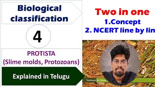 BIOLOGICAL CLASSIFICATION4 PROTISTASlime molds Protozoans  NCERTLINE BY LINE  Class 11 [upl. by Cryan]