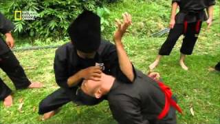 Fight Master  Silat Official Trailer [upl. by Llerdnad]