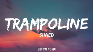 SHAED  Trampoline Lyrics [upl. by Ahkos43]