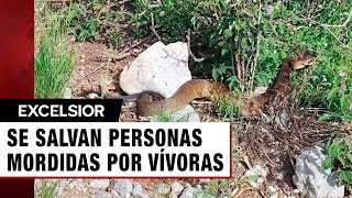 Tres personas sufren ataques de animales ponzoñosos [upl. by Willett]