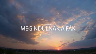 Friderika  Ahogy megindulnak a fák Official Lyrics Video [upl. by Reivazx]