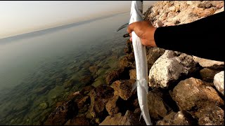 Needlefish lure fishing can sadik mo ako catch A Needlefish [upl. by Enixam954]