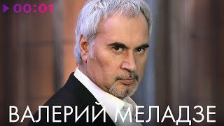 ВАЛЕРИЙ МЕЛАДЗЕ  TOP 20  Лучшие песни [upl. by Landan335]