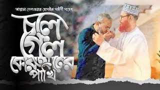 আল্লামা সাইদিকে নিয়ে লেখা সেরা প্রতিবাদি গান  Allama Saidi Best Song allama delwar hussain saidi [upl. by Amein]