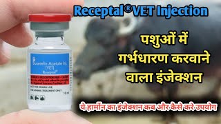 Receptal®VET  Buserelin Acetate Injection in Animals  पशुओं को गाभिन ठहराने वाला इंजेक्शन [upl. by Nwahsat]