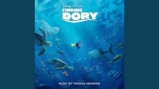 Finding Dory  Blijven Zwemmen  Disney NL [upl. by Anilehs]