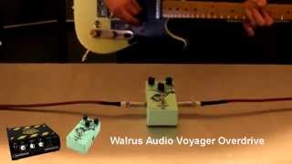 Walrus Audio Voyager Overdrive Pedal Demo using the Quilter Labs ToneBlock 200 [upl. by Hazard]