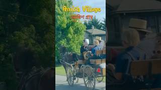 Amish community in USA 🇺🇸 🛖🏇 shorts [upl. by Suoirred]