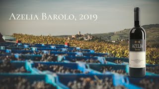 Обзор итальянского вина Бароло  Barolo Azelia 2019 [upl. by Ahsets]