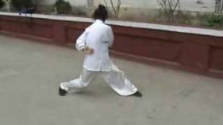 a kung fu masters amazing exercise [upl. by Cordova530]