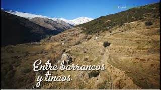 Entre barrancos y tinaos Comarca de La Alpujarra Granada [upl. by Evvie]