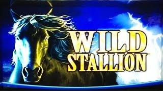 Wild Stallion Slot Bonus  Free Spins Huge Win [upl. by Yun]