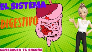 El Sistema Digestivo  El Cuerpo Humano  Esmeralda Te Enseña [upl. by Nomaid]