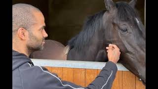 Tony Parker ouvre les portes de son luxueux haras normand pour la première fois [upl. by Eniagrom]