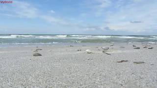 1 h Meeresrauschen Entspannung Wellenrauschen Wellen Strand Meer Ostsee HD [upl. by Marni]