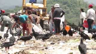 Niños en Honduras trabajan recogiendo desperdicios en basurero a cielo abierto [upl. by Glantz]