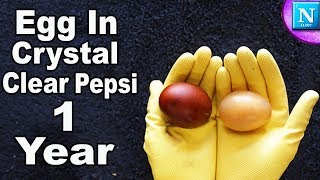 Egg In Crystal Clear Pepsi For 1 Year [upl. by Ailla]