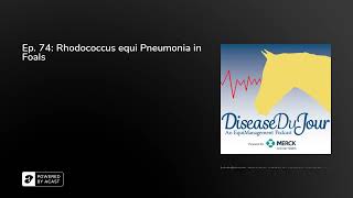 Ep 74 Rhodococcus equi Pneumonia in Foals [upl. by Edualc]