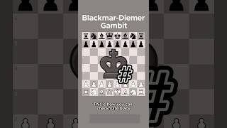 BlackmarDiemer Gambit 😎😎😎chessgambit chessgambits [upl. by Fulbright]