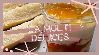 multi délices des recettes pour une yaourtière multi usages [upl. by Ecirtemed]