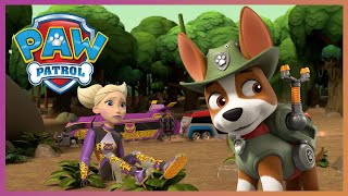 Tracker and Pups stop Cheetah from destroying the Jungle  PAW Patrol Cartoons for Kids Compilation [upl. by Bois]