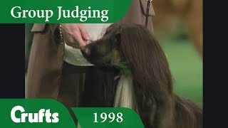 Afghan Hound wins Hound Group Judging at Crufts 1998 [upl. by Darice]