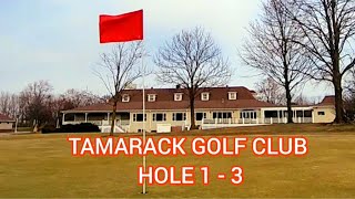 Tamarack Golf Club Hole 1  3 [upl. by Riggins]